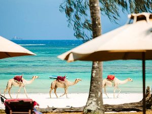 beach-resorts-kenya